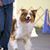 Cynthia Hokes's profile image
