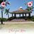 Tammy Vanni's profile image
