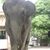 Maria Ivey's profile image