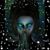 Tracy Evans's profile image
