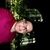 Jose Cruz Alvarado's profile image