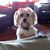 Gina Scarpa Textor's profile image
