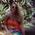 Melissa Luebke Rosenquist's profile image