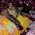 Crystal Kronenberg's profile image