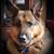 Diane Tudino's profile image
