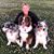 Kimberly Lohman's profile image