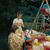 Vanessa Carlson Kaiser's profile image