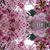 Elizabeth Hopwood's profile image