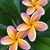 Debi Benson Putze's profile image