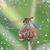 Linda GlaserSrnka's profile image