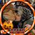 Melissa Anderson's profile image