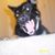 Jim VanScoter's profile image