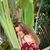 Megan Legere's profile image