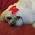 Kim Rodriguez's profile image