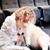 Vivienne Benesch's profile image