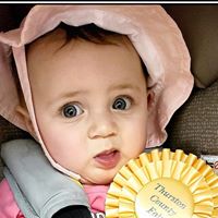 Kimberly Morgan Freedman's profile image