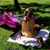 Melissa Alves Terras's profile image