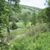 Lisa Eney Robinson's profile image