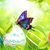Annmarie Kanzer Nikolic's profile image