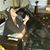 Michele Stoll's profile image