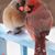Judy Carbaugh's profile image