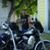Steveo Zanman's profile image
