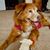 Sharon E. Jones's profile image