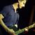 Rod Leibfried's profile image