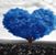 Joni Haight Hudson's profile image