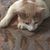Brenda Condra's profile image