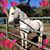 Darlene Johnson's profile image