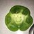 Kathy Bertsch's profile image