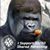 Mark Bliss's profile image