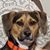 Don S Hofmann's profile image