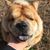 Rick Traylor's profile image