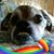 Stephen Pribble's profile image