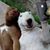 Godey Marti's profile image