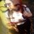 Adeva Emery's profile image