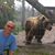 Joel Almquist's profile image