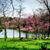 Amy Zinn Edgar's profile image