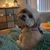 Kelley Corso's profile image