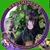 Cassandra Salmond's profile image
