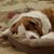 Kathy Mindel's profile image