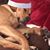 Jill Liberatore's profile image
