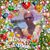 Lucinda Huber's profile image