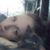 Amber Maillet's profile image