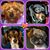 Millie Lynch's profile image