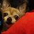Rebecca Westenberger's profile image