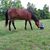 Laura Peffer-Beadles's profile image