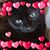 Michelle Miller's profile image